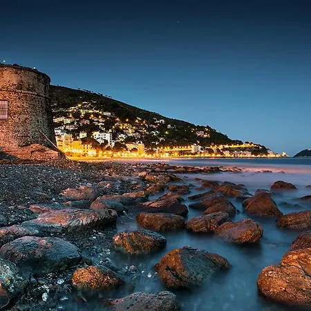 Corallo * 阿拉西奥